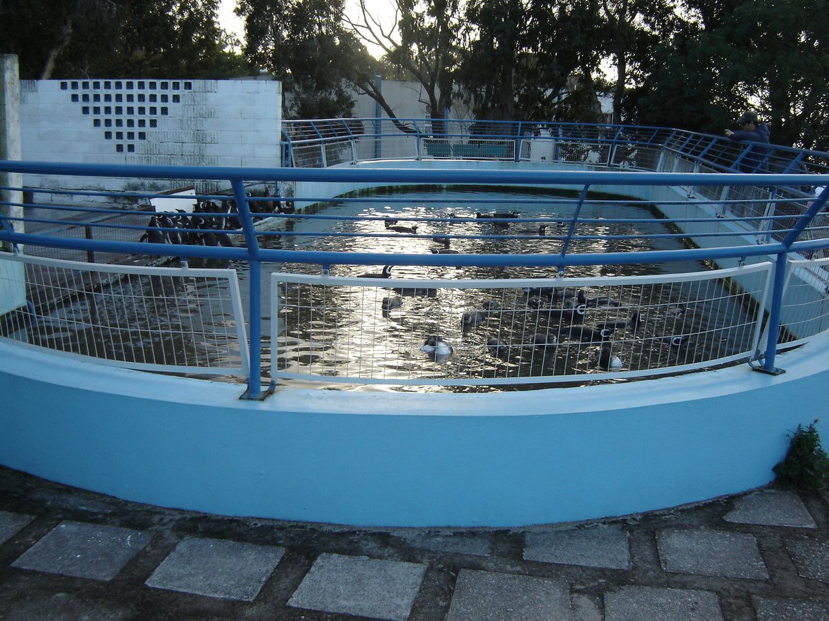 Um dos tanques do CRAM anexo ao Museu Oceanográfico.
