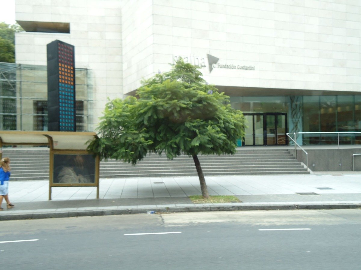 Passando pelo Malba, Museu de Arte Latino-Americana de Buenos Aires.