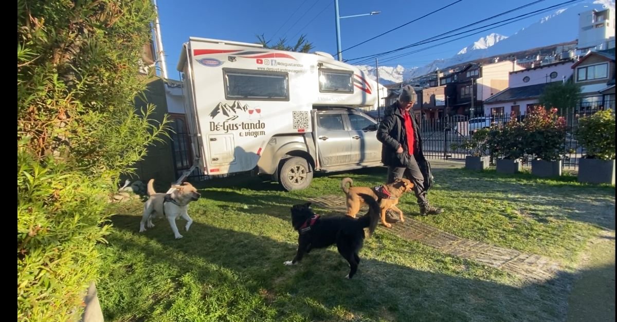 Billy, Mengo e Sasha brincando com Gustavo.